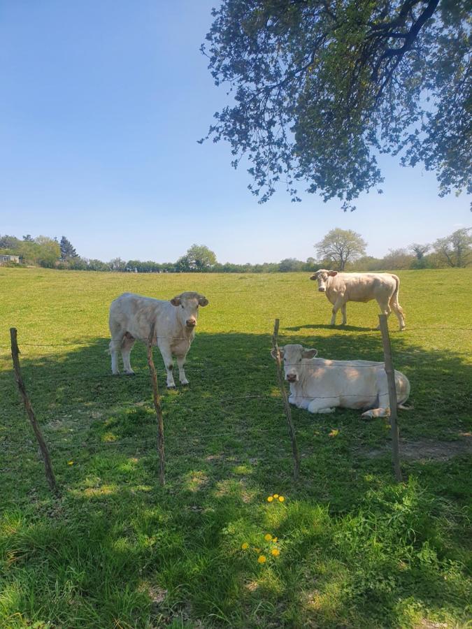 Villa Fleur De Lys Au Puy Du Fou - Stayinvendee La Gaubretiere Zewnętrze zdjęcie